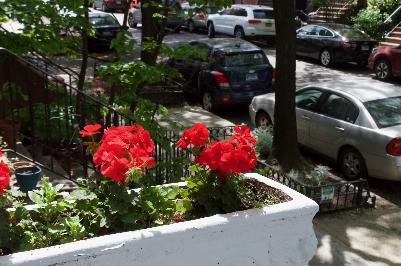 49 Saint Marks Avenue, Unit 1 Brooklyn, NY 11217 - Photo 2 of 21 a view of a backyard with sitting area