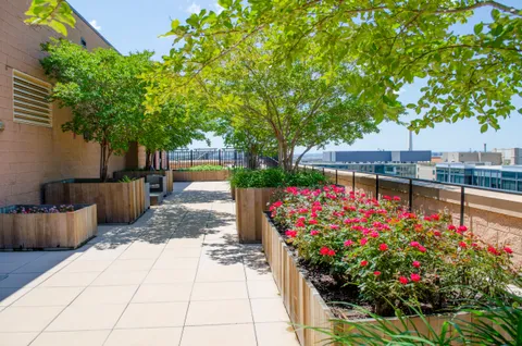 a view of a backyard with potted plants and large trees