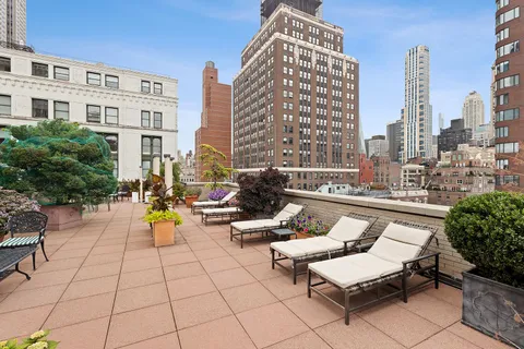 a view of a terrace with chairs and a potted plant