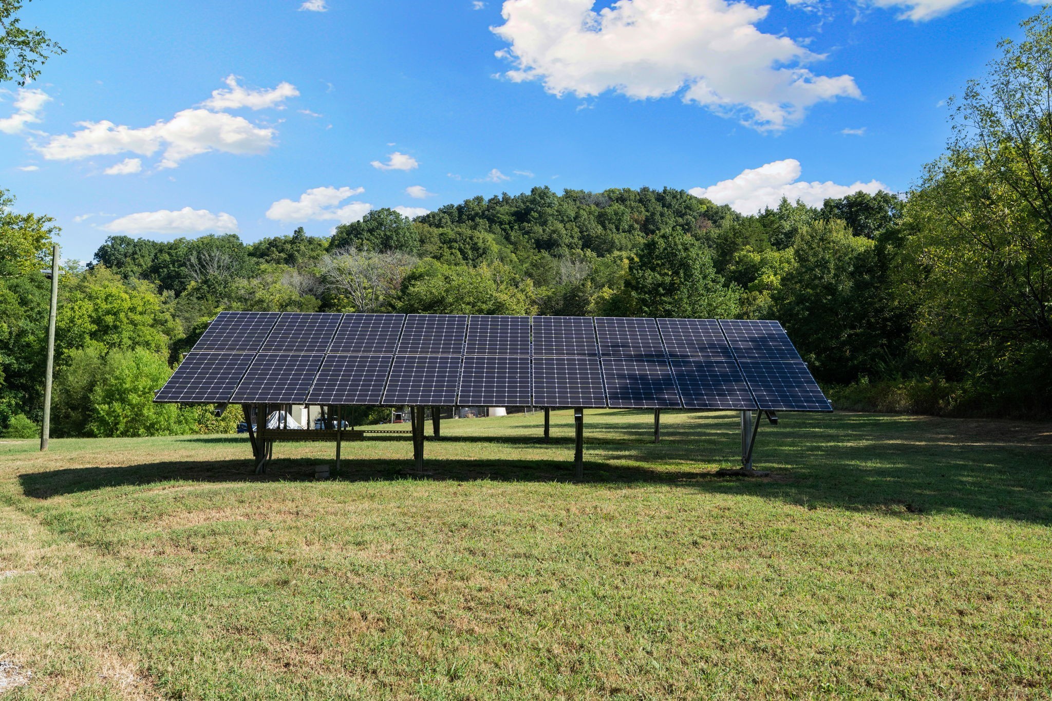 6448 Nathan Smith Road College Grove, TN 37046 - Photo 4 of 41