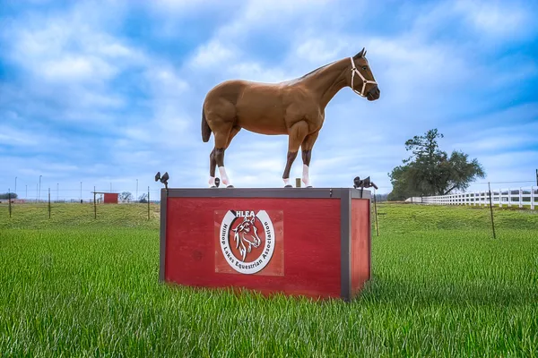 a view of swimming pool with a garden