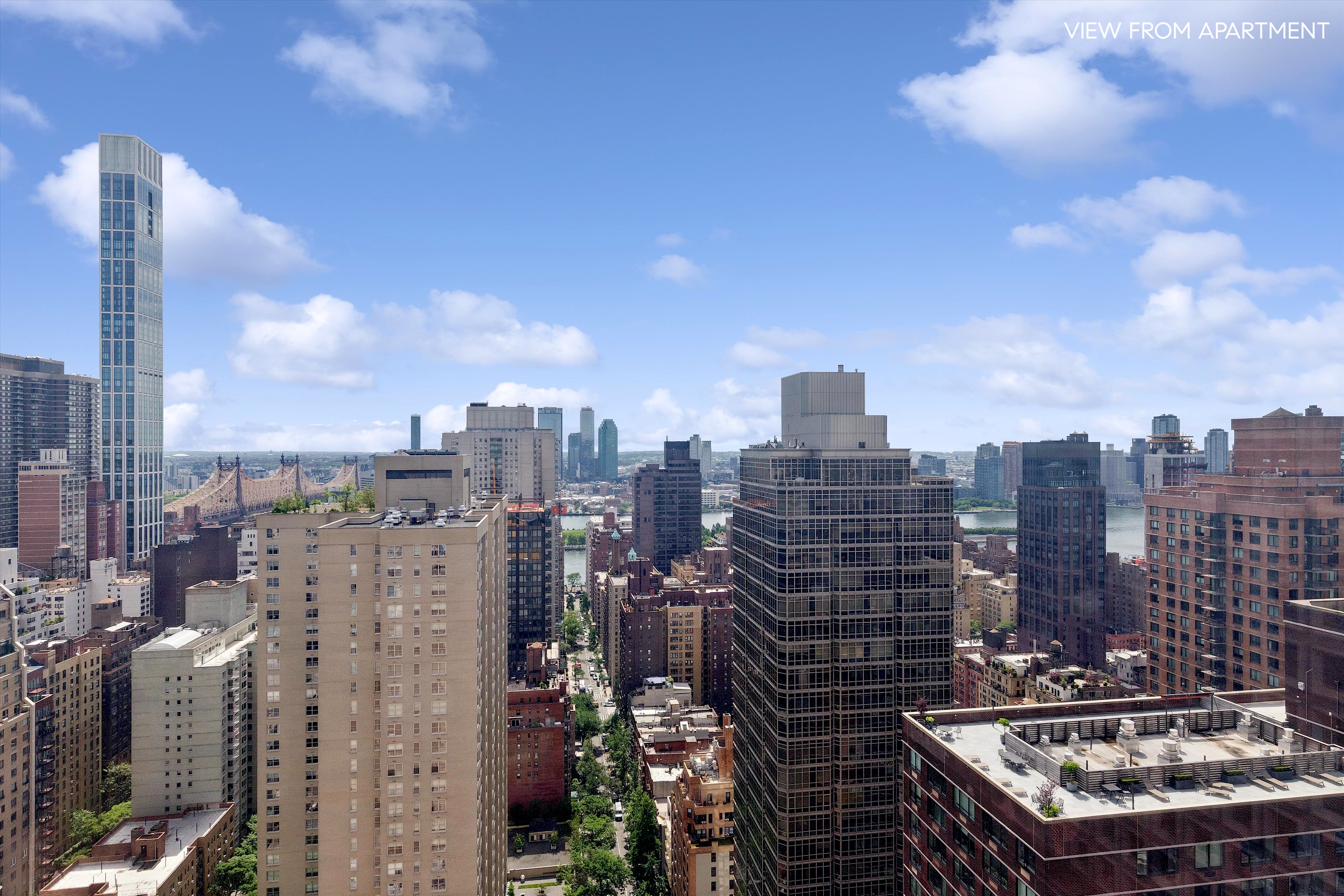 235 East 55th Street, Unit 38C Manhattan, NY 10022 - Photo 5 of 13