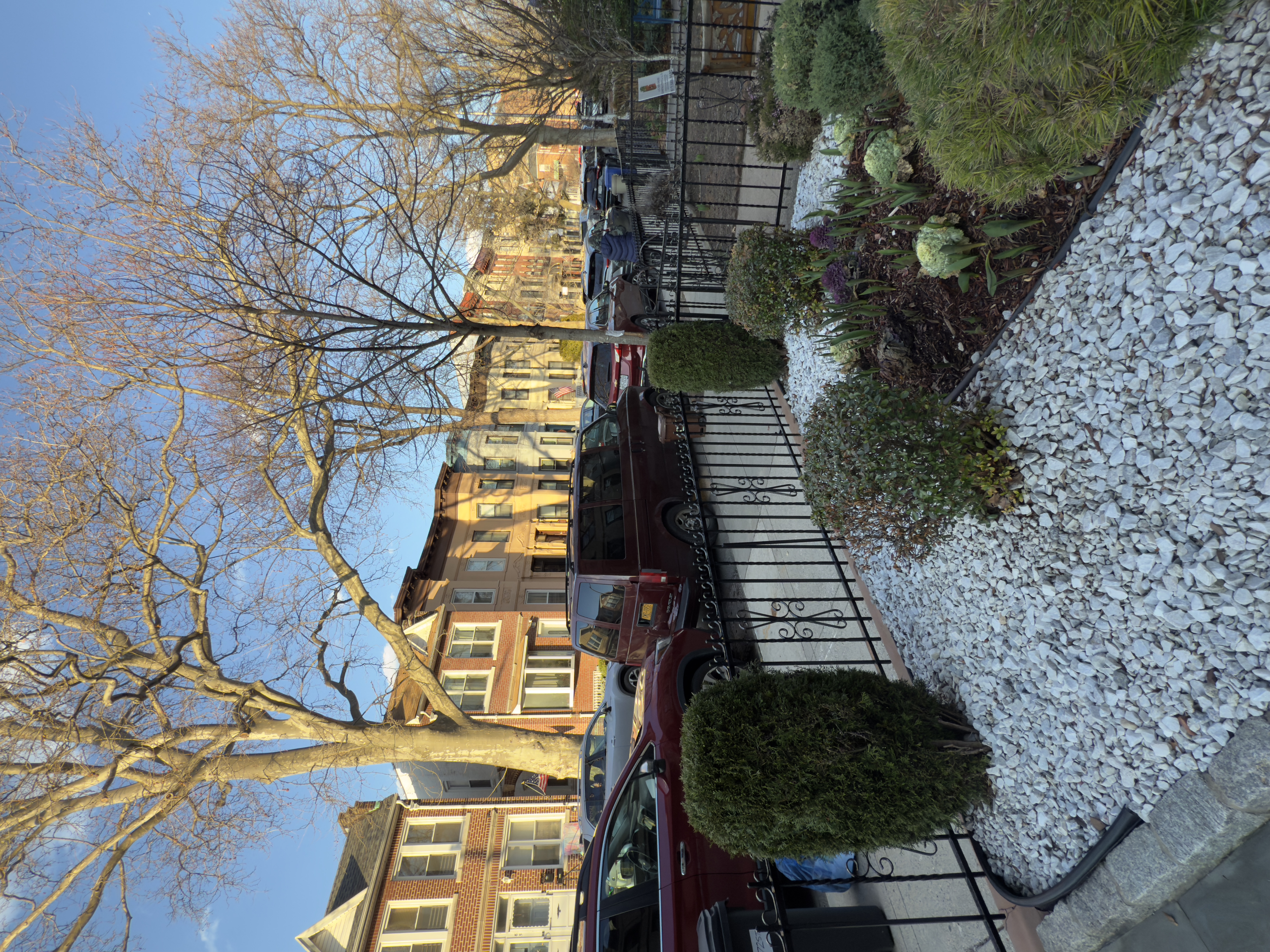 82 74th Street Brooklyn, NY 11209 - Photo 21 of 21 a view of a house with a large tree