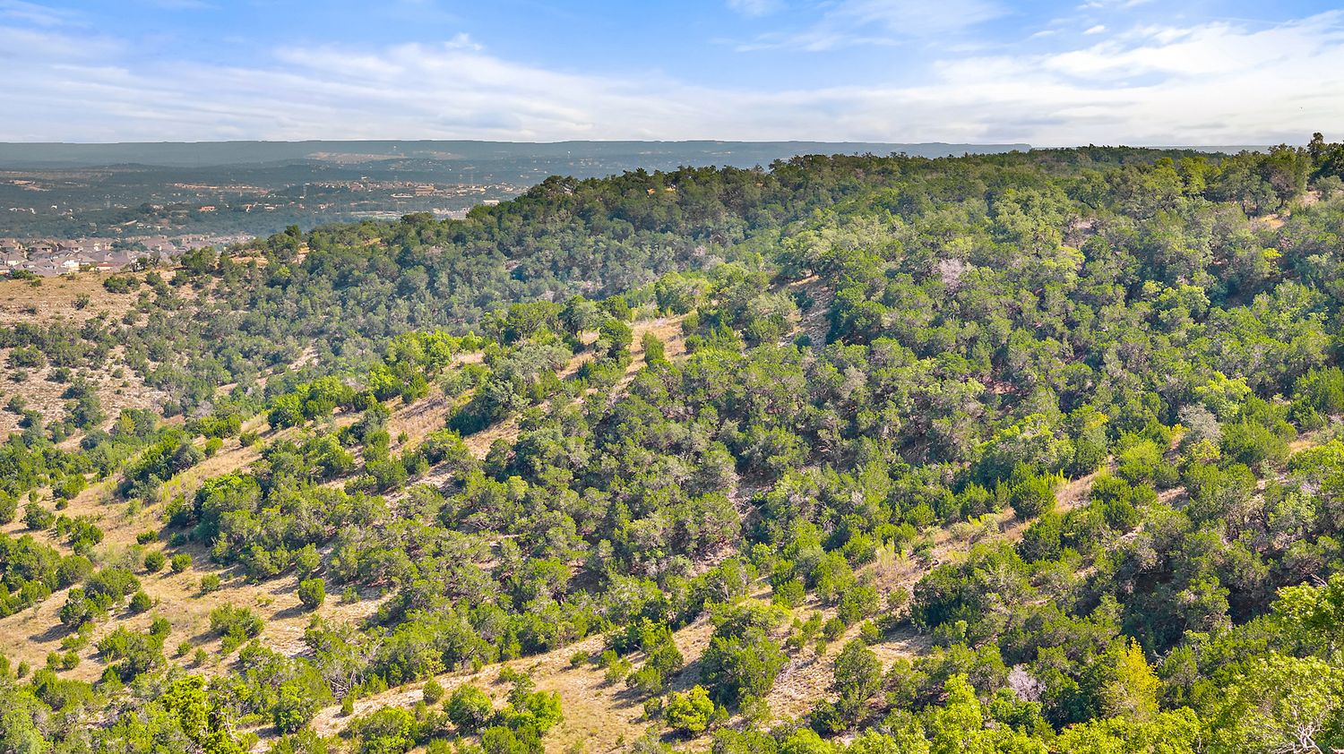 a view of a field with an ocean