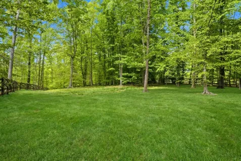 a view of green field