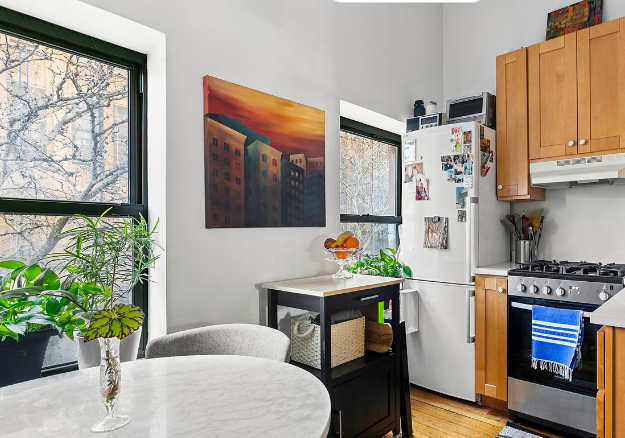 10 Fort Greene Place Brooklyn, NY 11217 - Photo 7 of 15 a living room with furniture and a potted plant