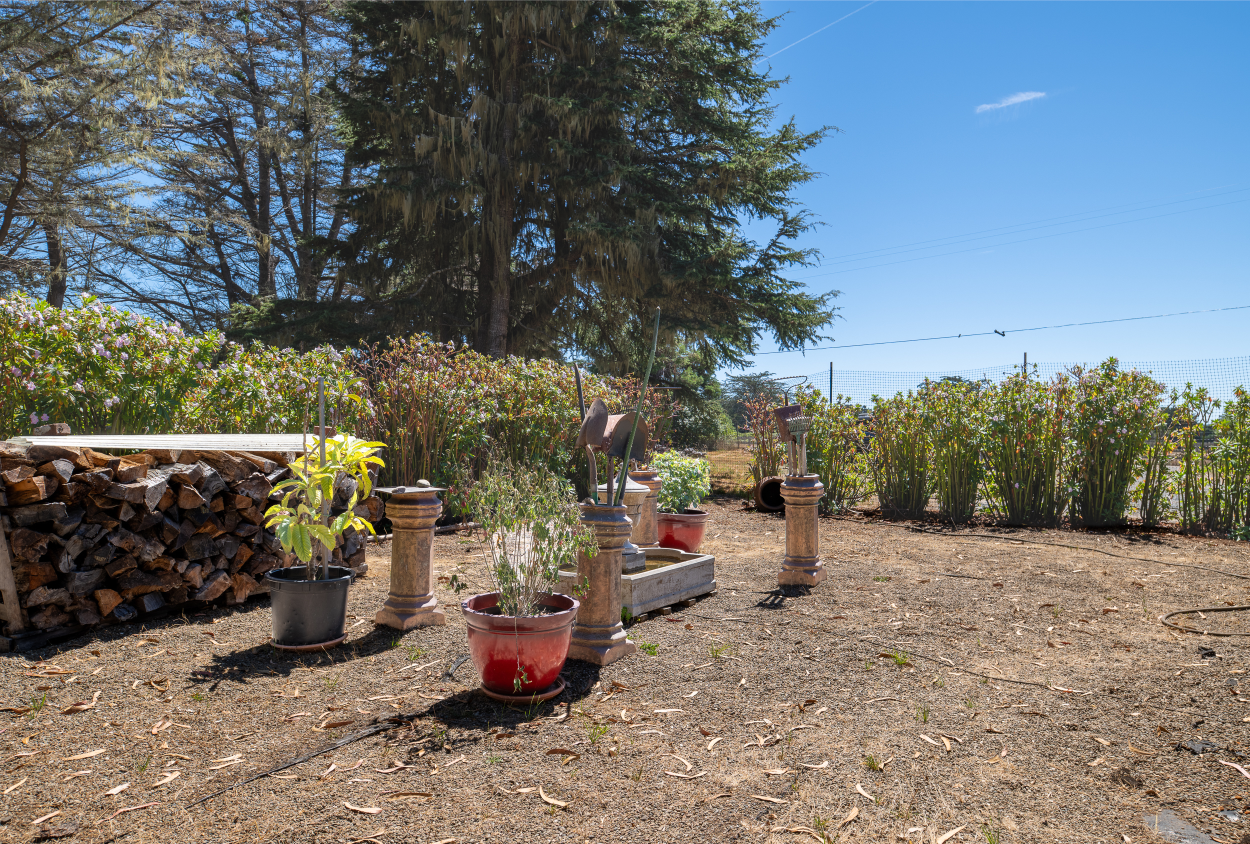 44260 Biaggi Road Manchester, CA 95459 - Photo 44 of 50 Gallery Image 44