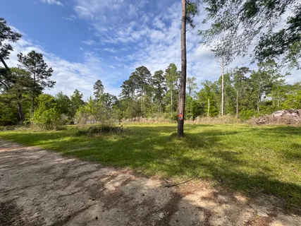$15,000 | 22 Lake Forest Drive, Livingston, TX 77351