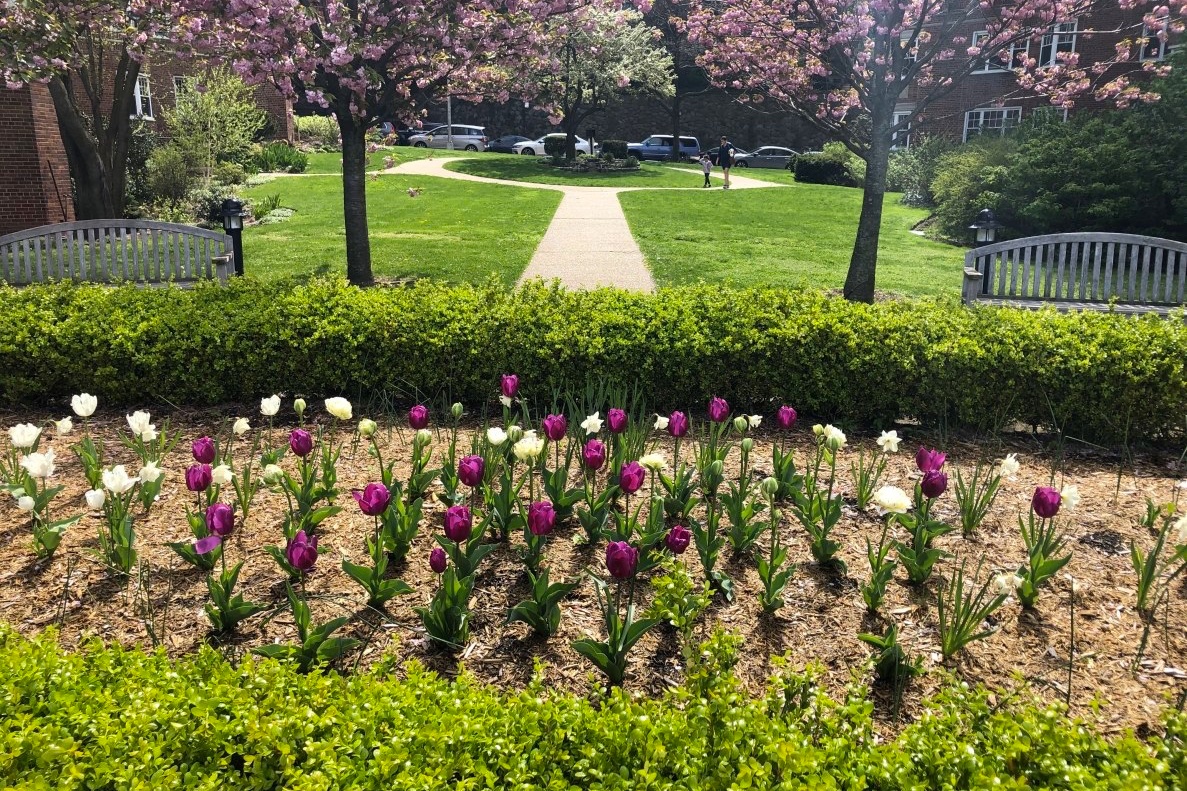 200 Cabrini Boulevard, Unit 86 Manhattan, NY 10033 - Photo 20 of 26 a view of a flower in a garden