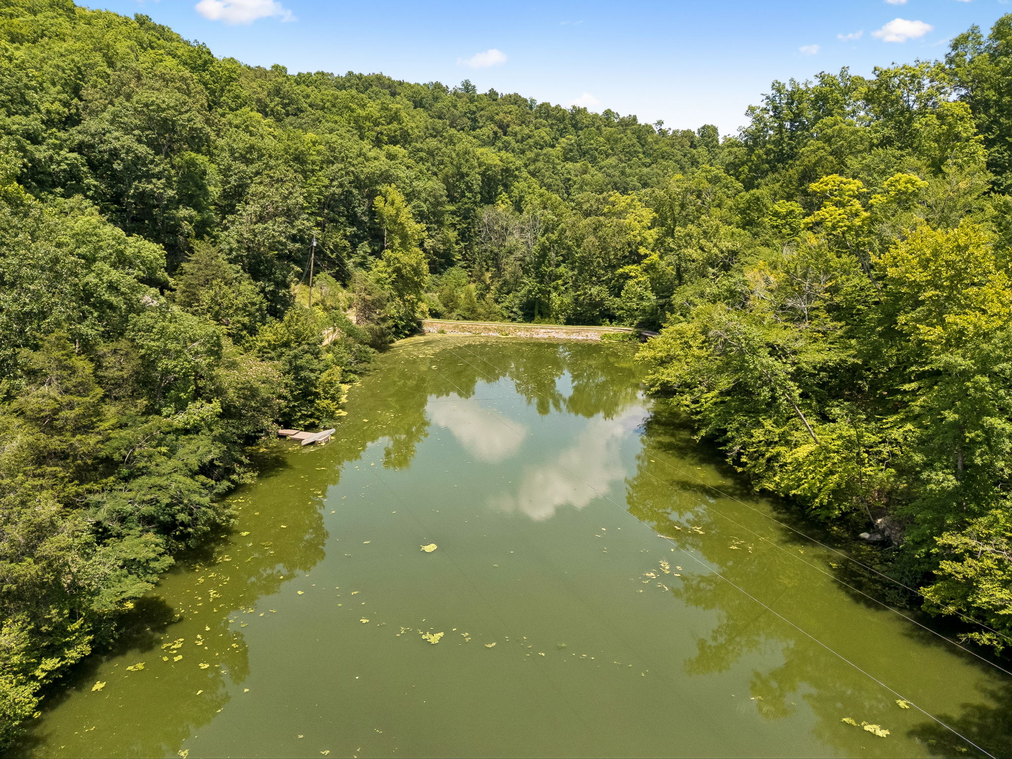 7941 Fernvale Road Fairview, TN 37062 - Photo 51 of 62