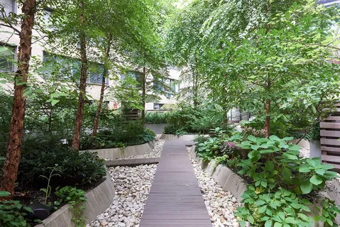 a view of a pathway both side of yard