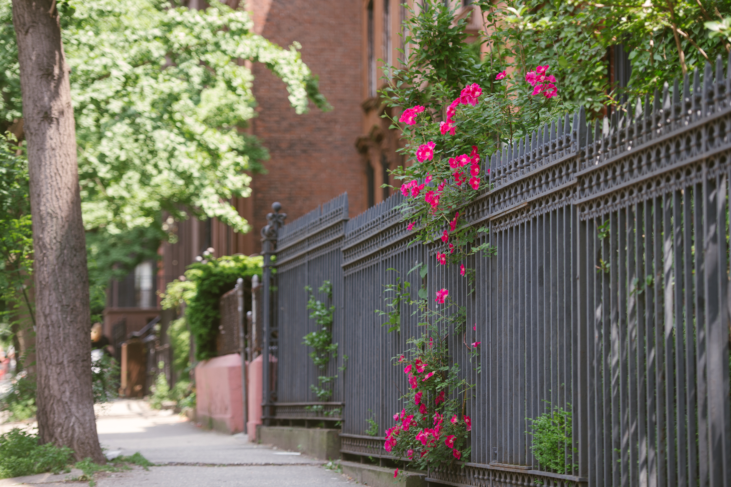 147 South Oxford Street, Unit 2C Brooklyn, NY 11217 - Photo 9 of 12 a front view of a house with flowers