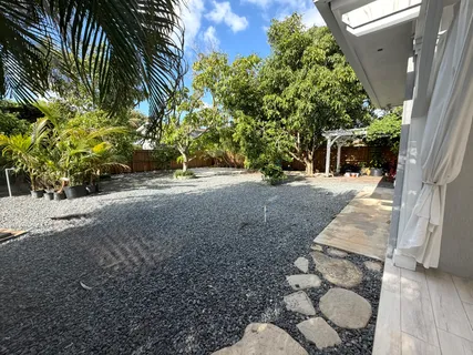 a view of a yard with plants and trees