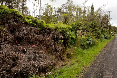 with a small yard