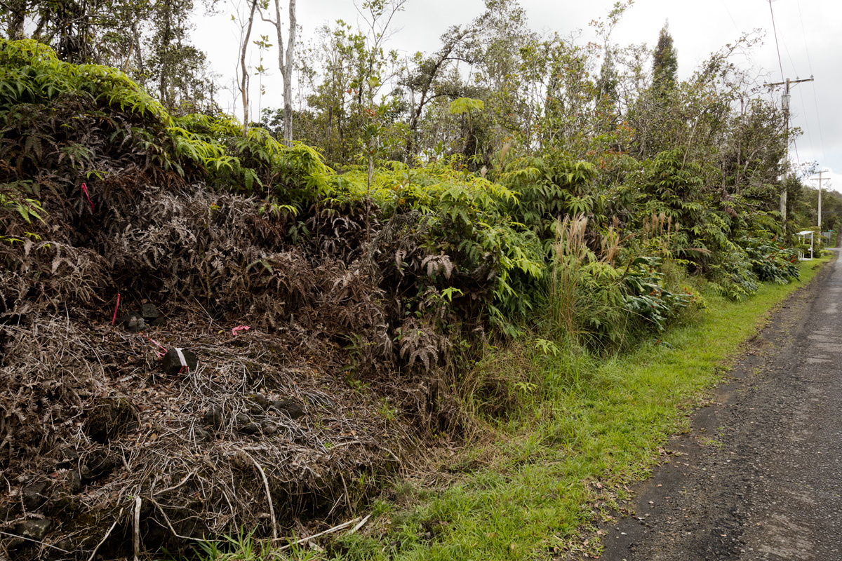 Anuhea Street Volcano, HI 96785 - Photo 20 of 22