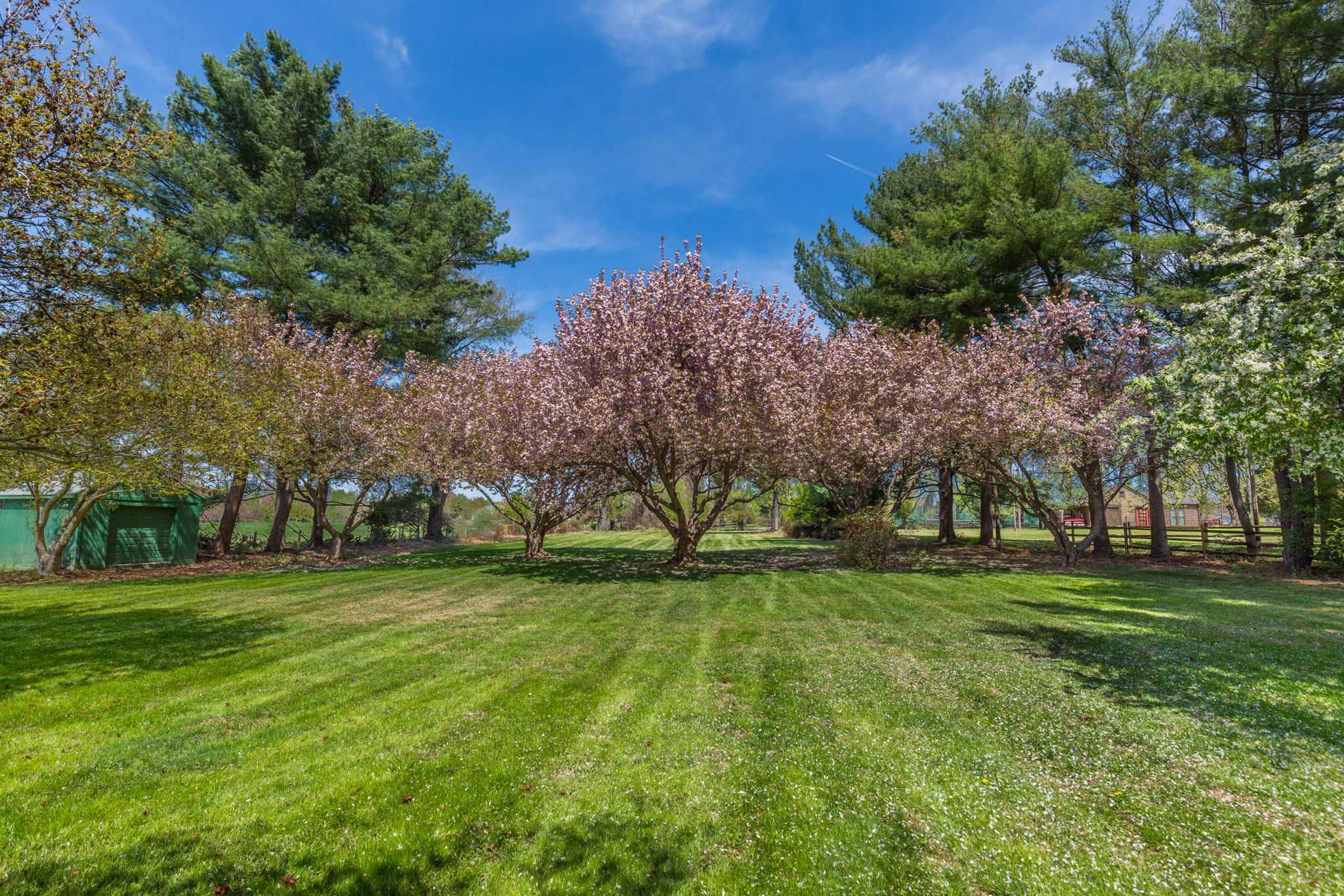 12710 Travilah Road Potomac, MD 20854 - Photo 10 of 14