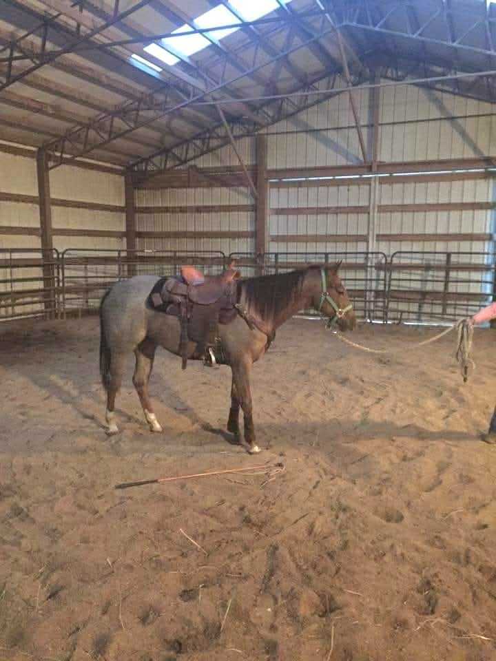 2073 Harpo Road Manchester, TN 37355 - Photo 3 of 45 a view of entryway