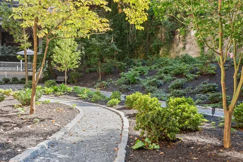 a view of a garden with plants
