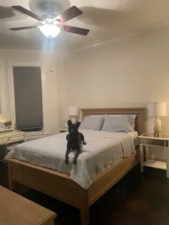 a bedroom with a bed and ceiling fan