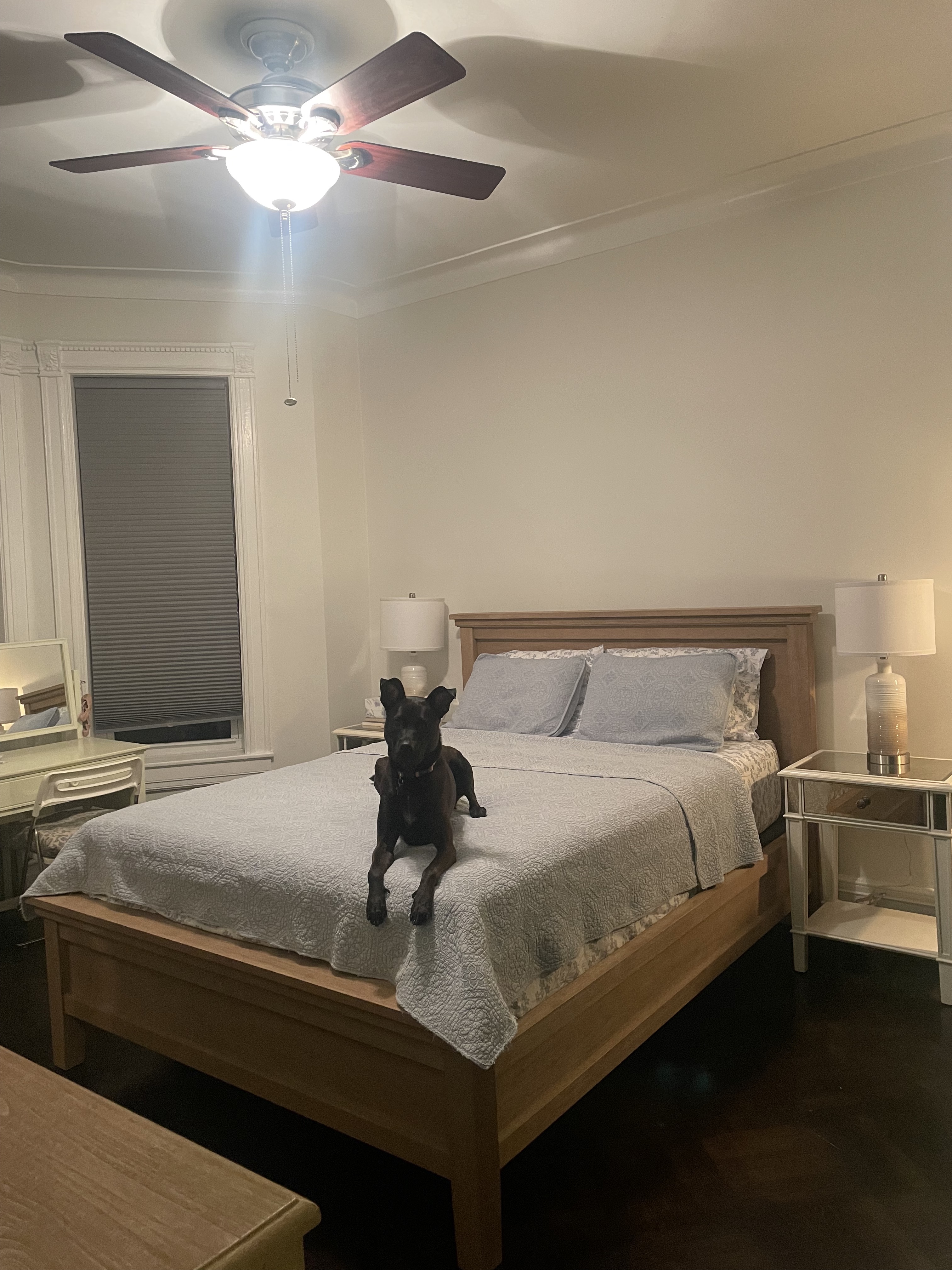 256 71st Street, Unit 2 Brooklyn, NY 11209 - Photo 3 of 6 a bedroom with a bed and ceiling fan