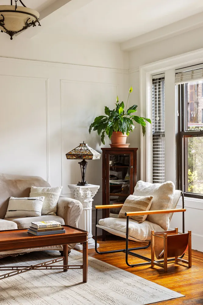 a living room with furniture and a potted plant
