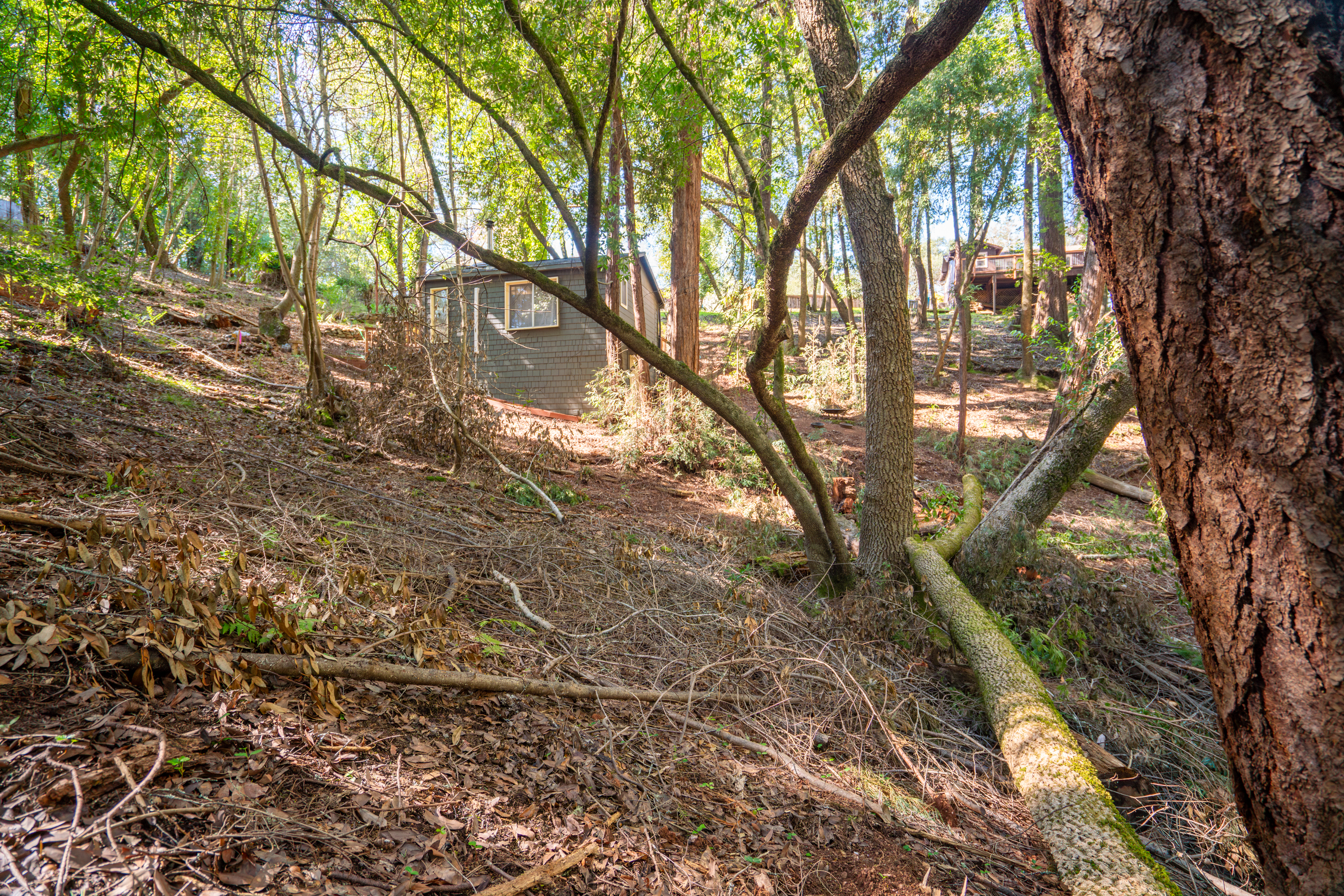 10612 Canyon Road Forestville, CA 95436 - Photo 15 of 15 a backyard of a house with lots of green space