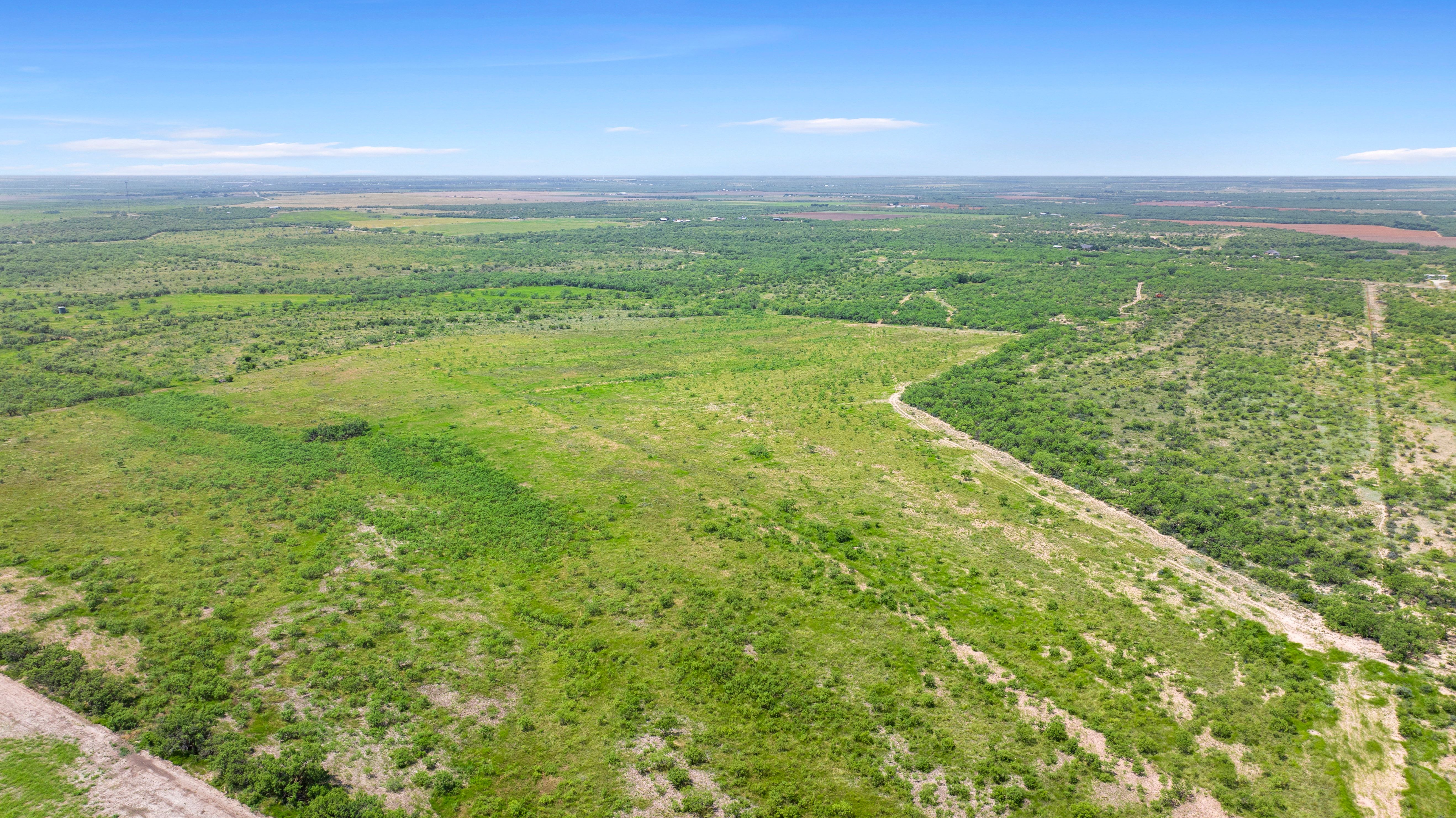 0 Fm 2647 Ballinger, TX 76821 - Photo 6 of 17 Gallery Image 6