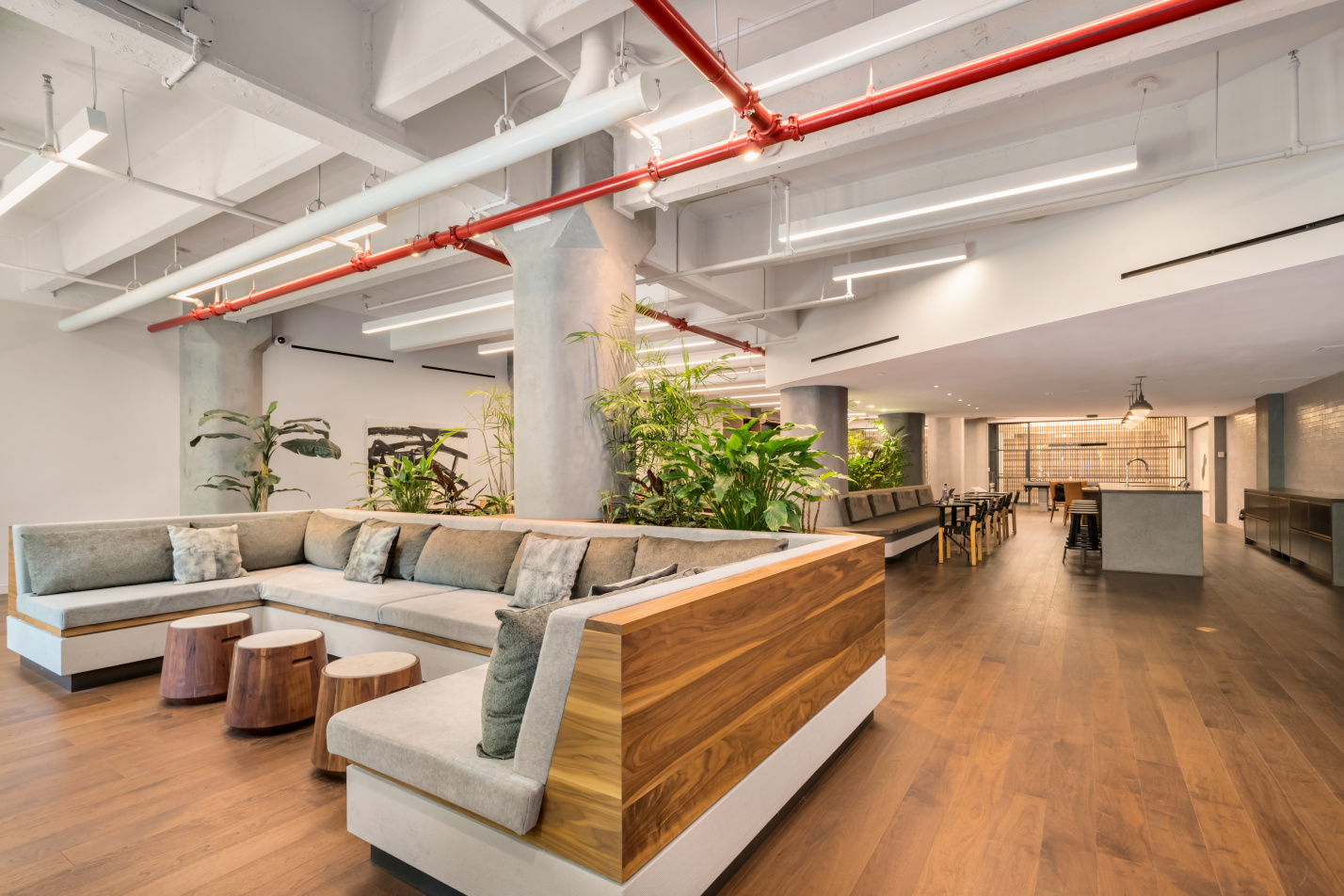 184 Kent Avenue, Unit A512 Brooklyn, NY 11249 - Photo 15 of 16 a view of living room with furniture and a potted plant
