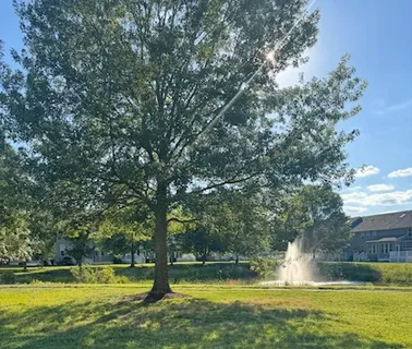 $430,000 | 10007 Iron Pointe Drive, Millsboro, DE 19966