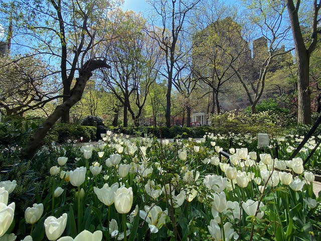 26 Gramercy Park South, Unit 1E Manhattan, NY 10003 - Photo 8 of 11 a backyard of a house with lots of green space