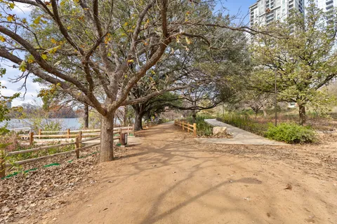 a view of yard with trees