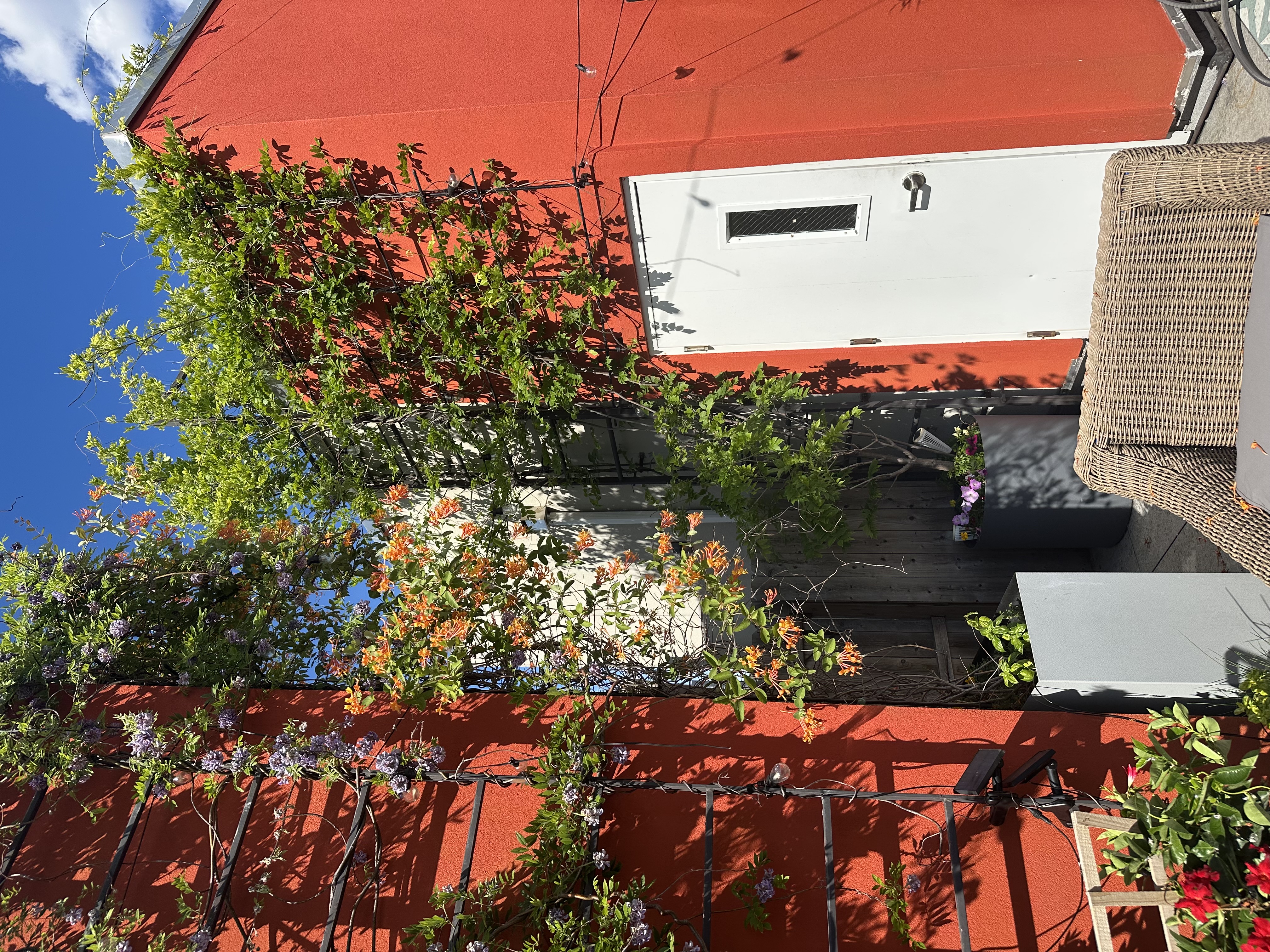 316 Carroll Street, Unit 2 Brooklyn, NY 11231 - Photo 11 of 12 view of a house with a tree