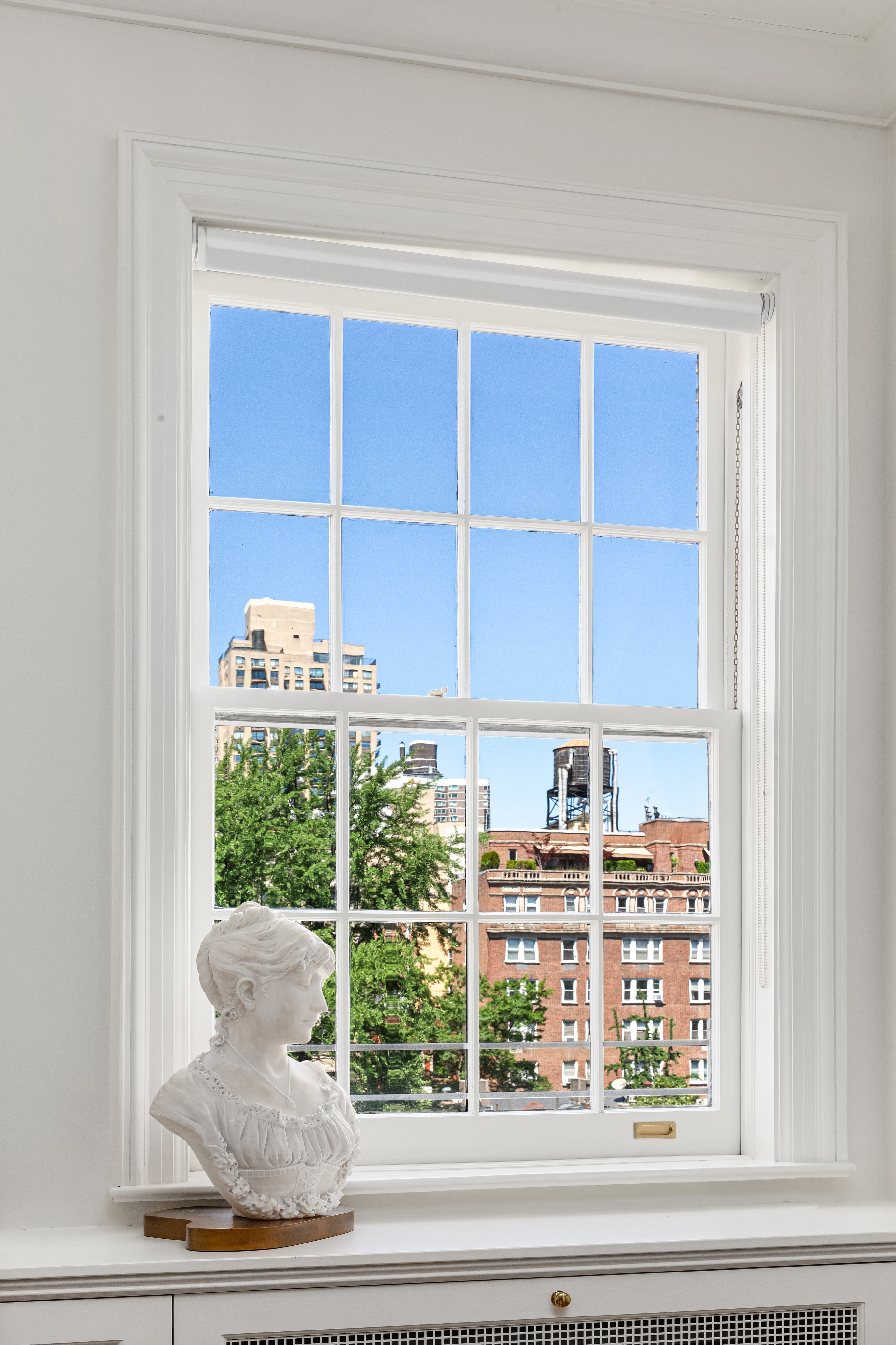 162 East 80th Street Manhattan, NY 10075 - Photo 2 of 13 a view of a potted plant on the side of a window
