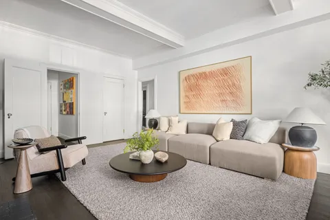 a living room with furniture and a potted plant