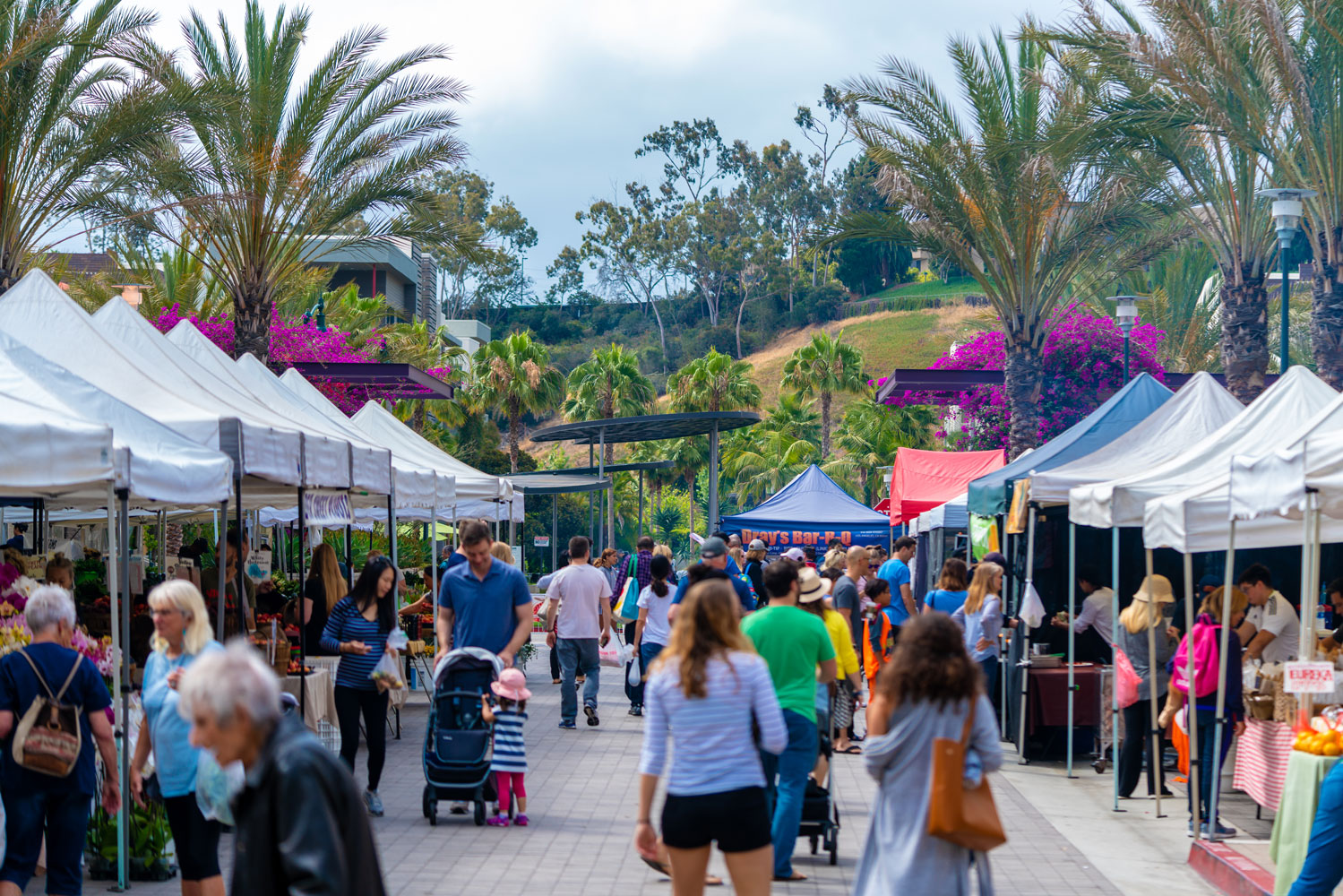 12963 West Runway Road Playa Vista, CA 90094 - Photo 36 of 39 a group of people standing around a fruit stand