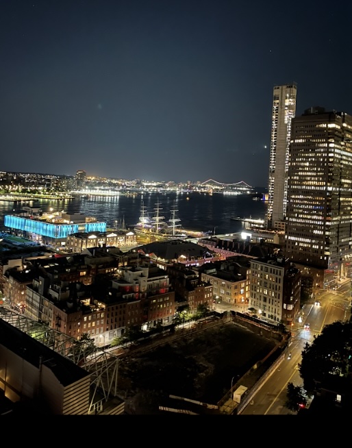 333 Pearl Street, Unit 26M Manhattan, NY 10038 - Photo 5 of 15 a city view