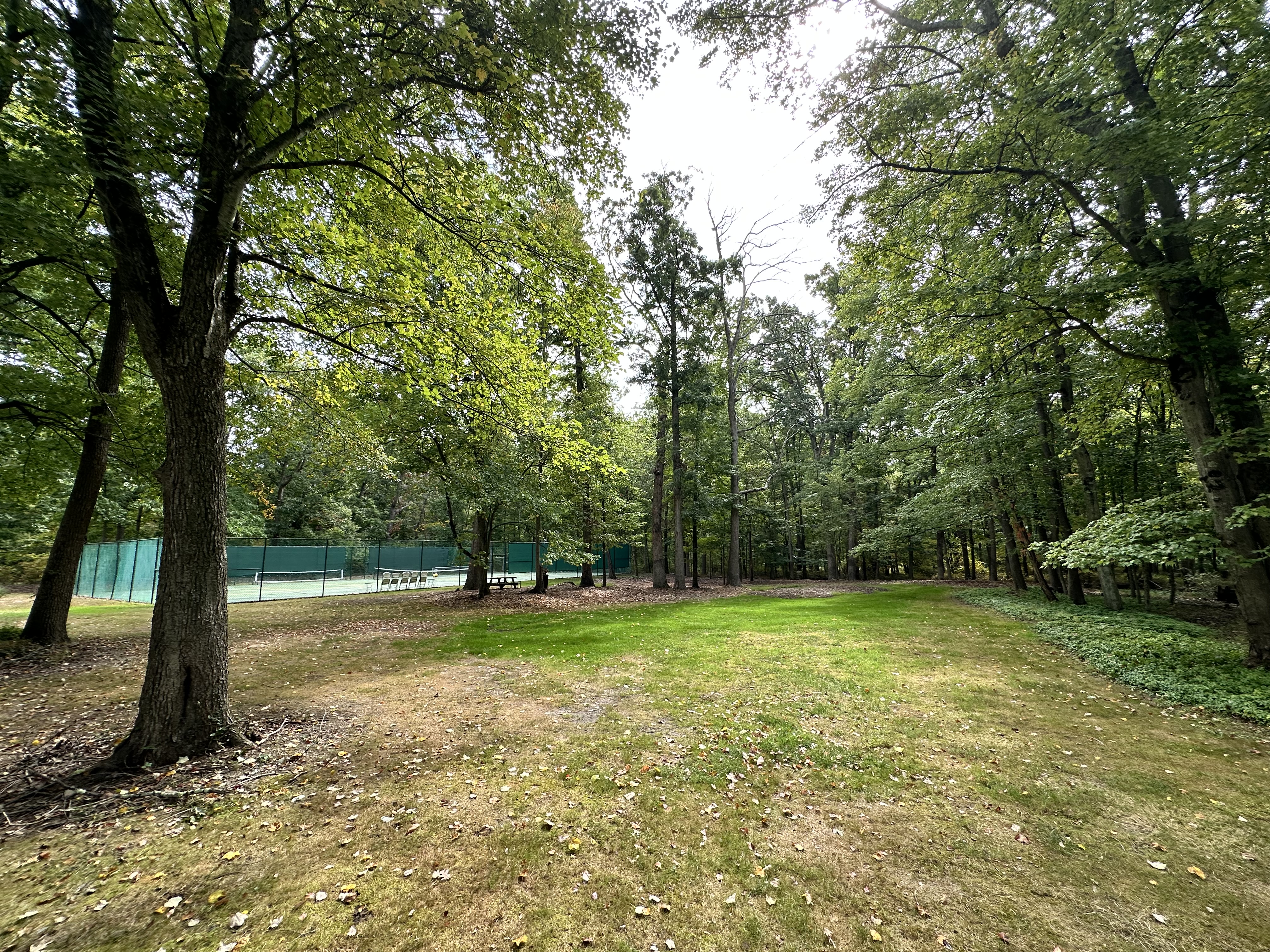21 Andrews Road Malvern, PA 19355 - Photo 12 of 20 a view of a trees with a yard