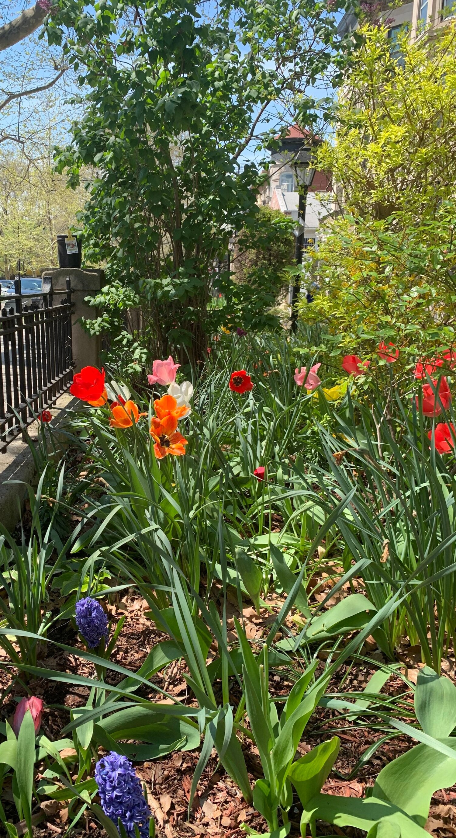 901 Saint Marks Avenue, Unit TRIPLEX Brooklyn, NY 11213 - Photo 25 of 28