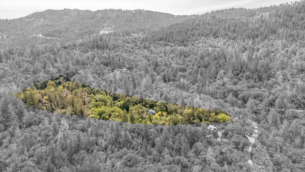 a view of a lush green hillside and a houses