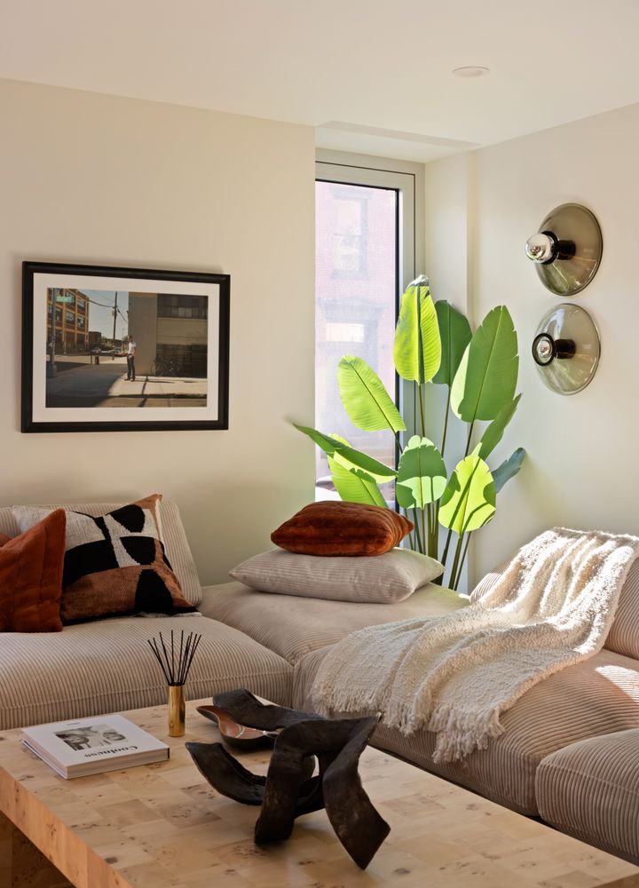 a bedroom with a bed a couch and a potted plant
