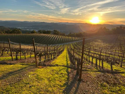 $1,795,000 | 31920 Pine Mountain Road, Cloverdale, CA 95425