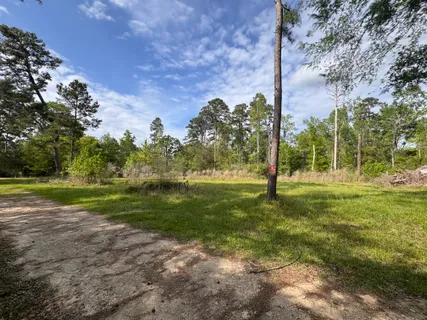 $15,000 | 20 Lake Forest Drive, Livingston, TX 77351