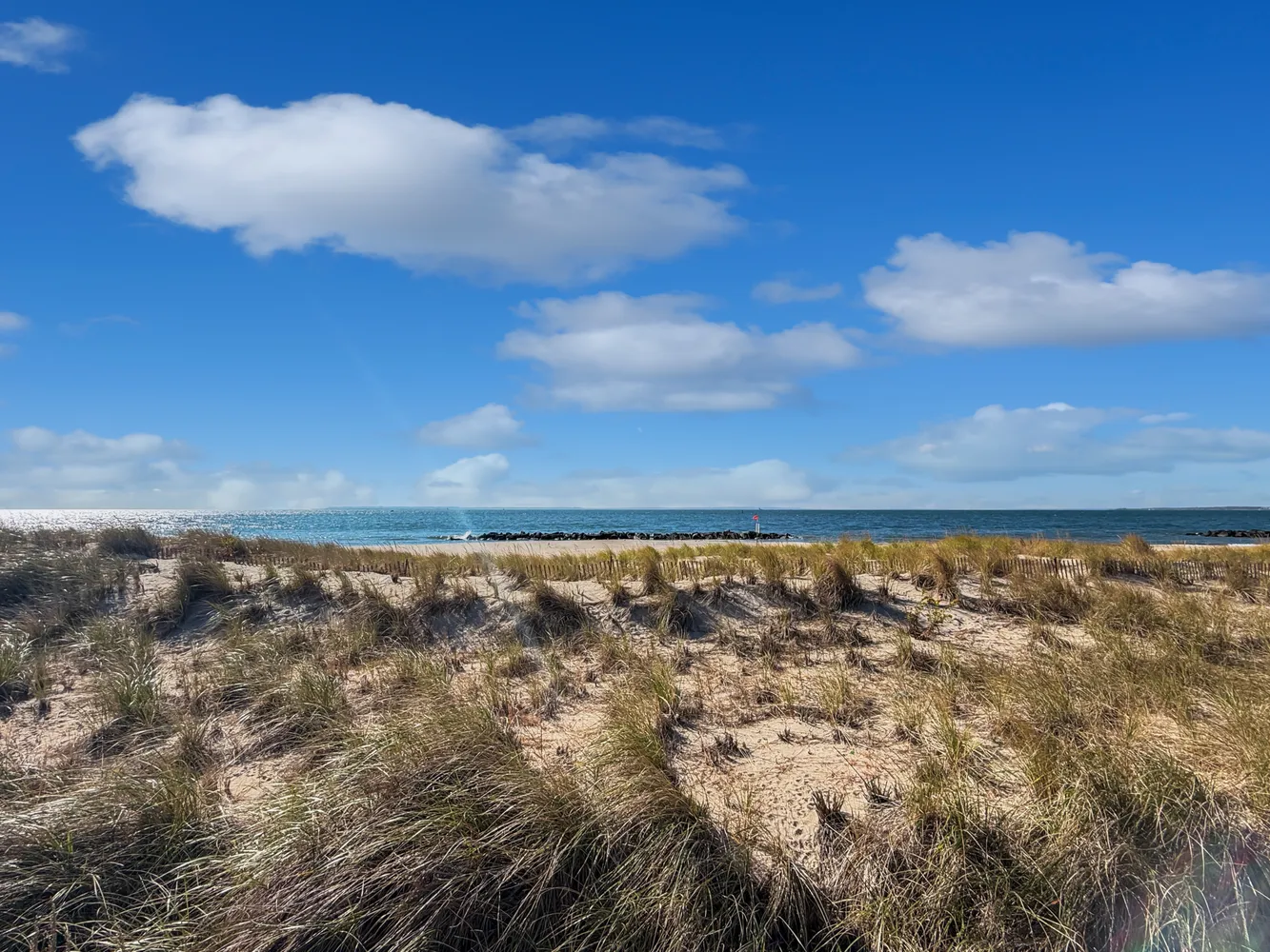 a view of yard with wooden floor