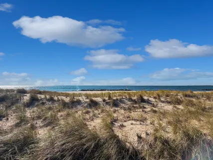 a view of yard with wooden floor