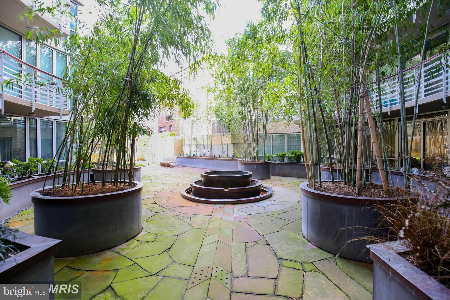 1300 13th Street Northwest, Unit 905 Washington, DC 20005 - Photo 16 of 18 a view of a backyard with plants and trees