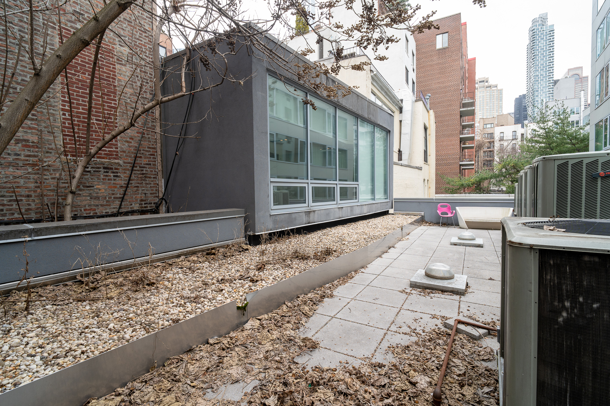 428 West 54th Street, Unit 1 Manhattan, NY 10019 - Photo 8 of 9 a view of a backyard with a large tree