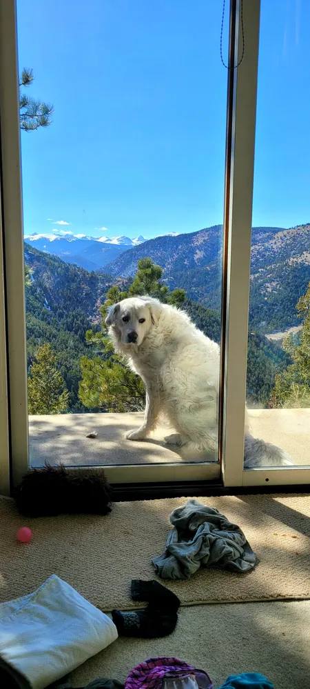 $2,100,000 | 323 Overlook Lane, Boulder, CO 80302