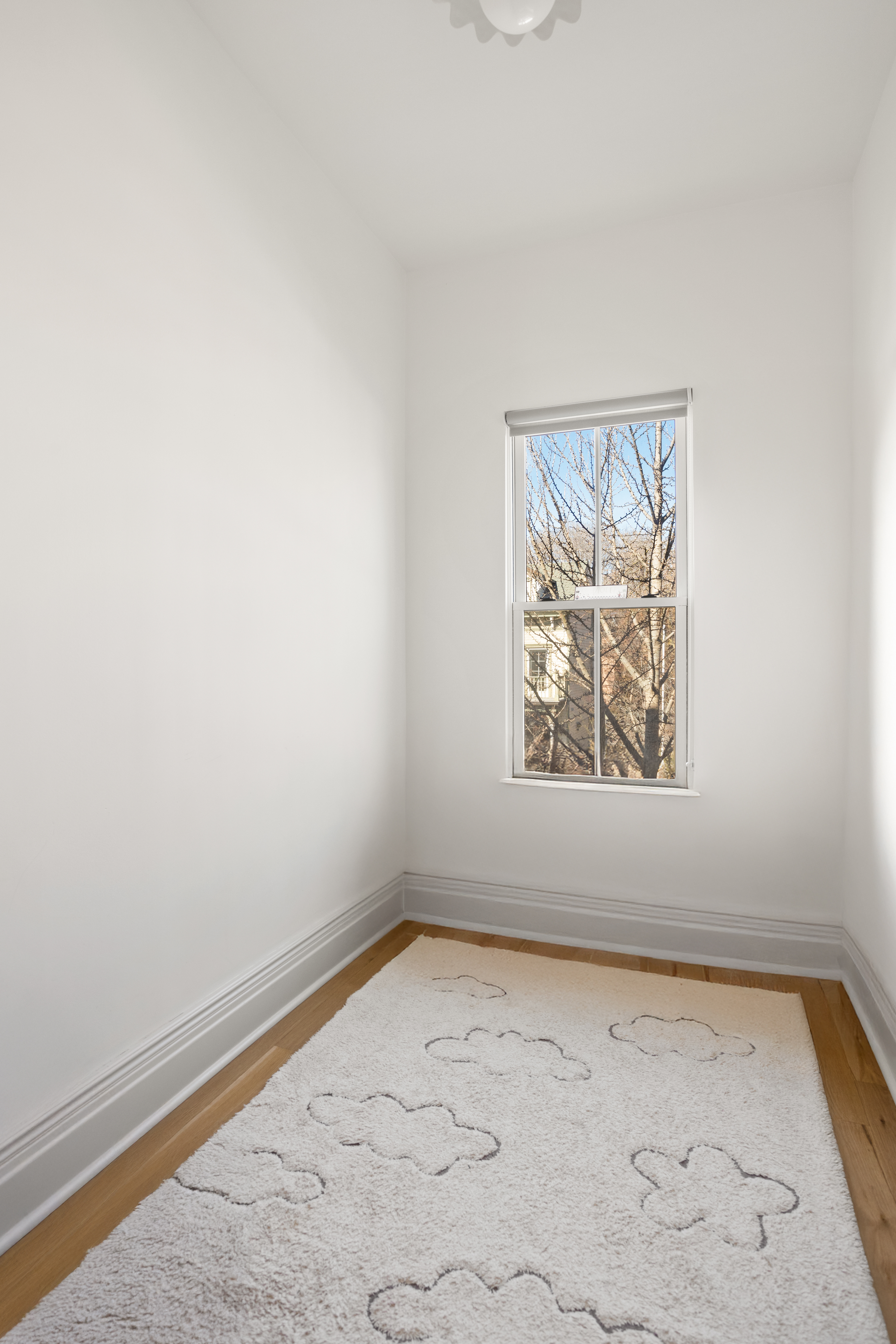 146 1/2 Java Street Brooklyn, NY 11222 - Photo 15 of 23