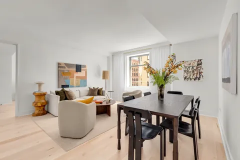 a view of a dining room with furniture and a potted plant