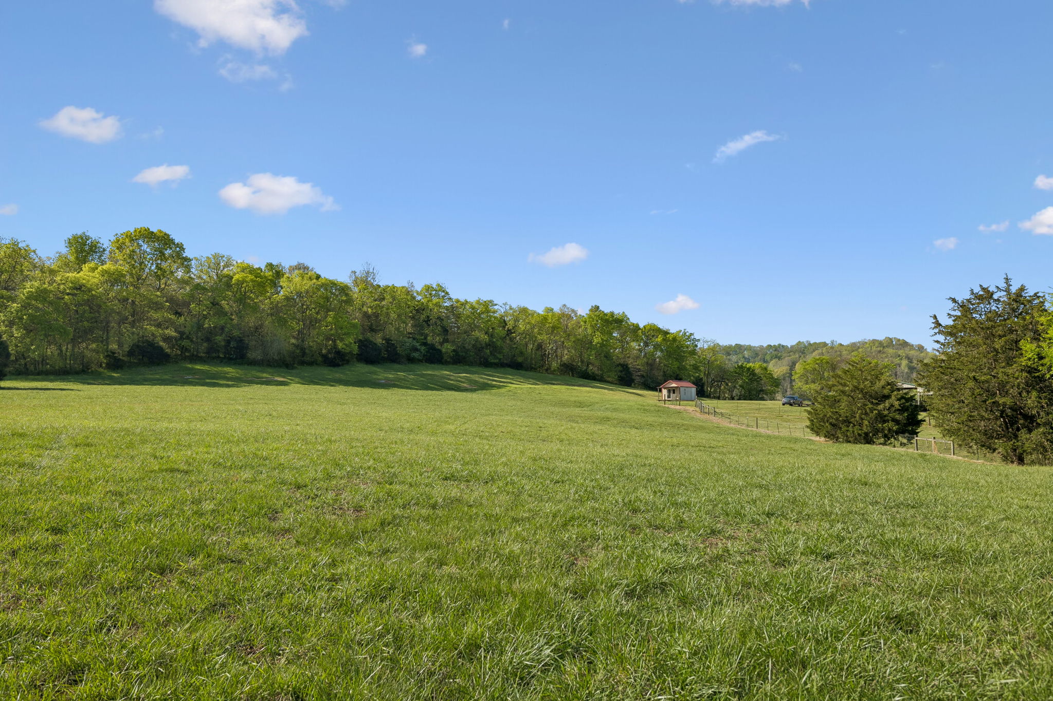 Undisclosed Address College Grove, TN 37046 - Photo 15 of 24 a view of outdoor space and yard